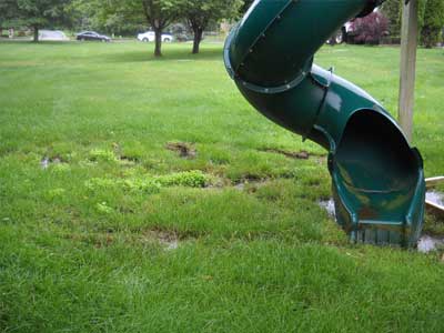 Photo of a green children's slide in the middle of a saturated septic drainage field; Statewide Environmental Services' residential environmental services include septic field restoration.